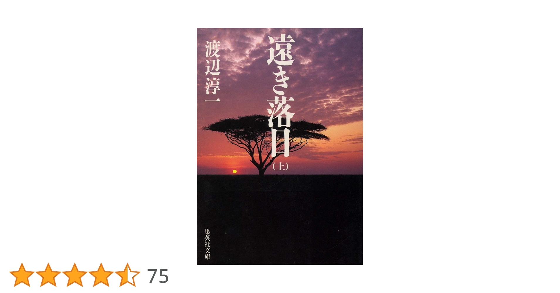 渡辺淳一本人署名あり　遠き落日 上下巻セット Amazon.co.jp: 遠き落日(上) (講談社文庫 わ 1-53 渡辺淳一